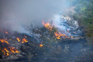 В Одесі по місту сталися масштабні пожежі: подробиці (оновлено) фото 4