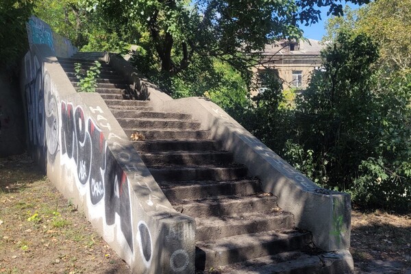 Військовий узвіз в Одесі без сфінксів: куди зникли скульптури котів і як без них виглядають сходи фото 4