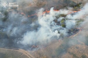 В Одеській області спалахнула масштабна пожежа: горіли 15 дачних будинків, постраждала жінка фото