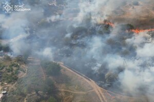 В Одесской области вспыхнул масштабный пожар: горели 15 дачных домов, пострадала женщина фото 1