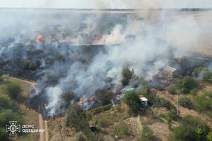 В Одесской области вспыхнул масштабный пожар: горели 15 дачных домов, пострадала женщина фото 3