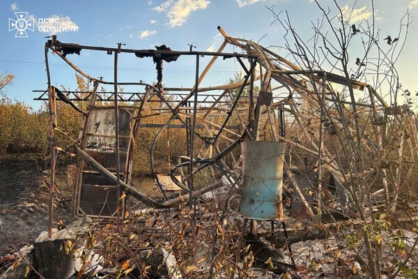 В Одеській області спалахнула масштабна пожежа: горіли 15 дачних будинків, постраждала жінка фото 5