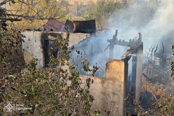 В Одеській області спалахнула масштабна пожежа: горіли 15 дачних будинків, постраждала жінка фото 6