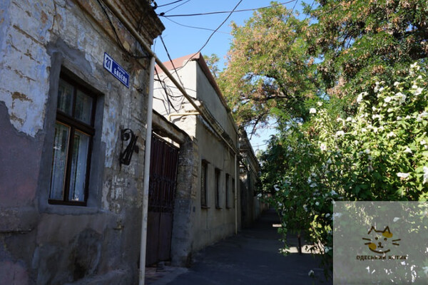 Нові назви топонімів: хто такий Дмитро Іванов та чому на честь нього перейменували вулицю Бабеля в Одесі фото 4