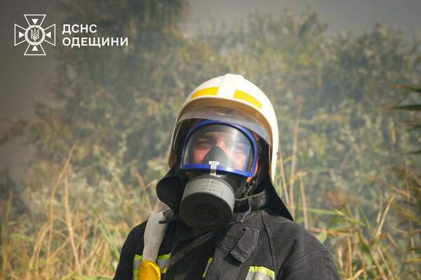 В Одессе вспыхнул масштабный пожар на полях орошения: возгорание гасили в течение нескольких часов фото 5