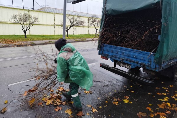 За останні два дні в Одесі впали майже два десятки дерев і великих гілок фото 1