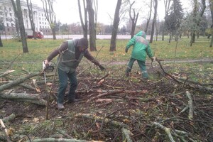 За останні два дні в Одесі впали майже два десятки дерев і великих гілок фото 2