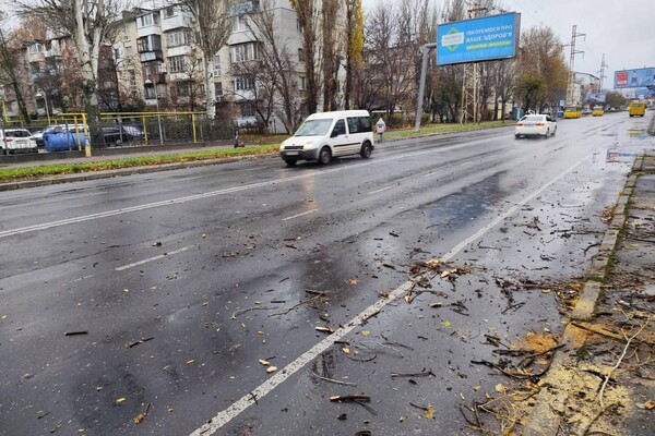 За останні два дні в Одесі впали майже два десятки дерев і великих гілок фото 5