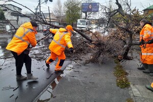 За останні два дні в Одесі впали майже два десятки дерев і великих гілок фото 6