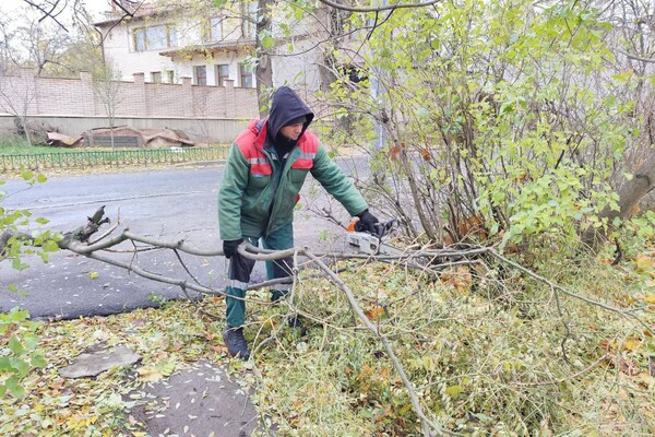 За останні два дні в Одесі впали майже два десятки дерев і великих гілок фото 9