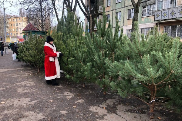 Свято наближається: де в Одесі є ялинкові базари фото