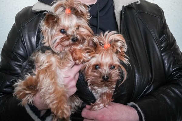 В Одессе и области произошли пожары в квартирах: среди спасенных ребенок фото 7