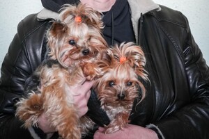 В Одессе и области произошли пожары в квартирах: среди спасенных ребенок фото 7