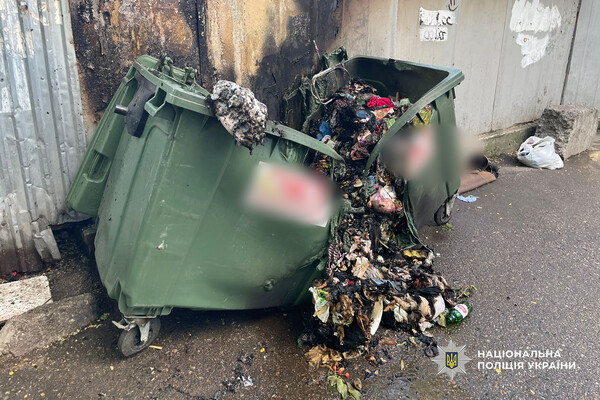 В Одессе пенсионерка уничтожила мусорные баки и повредила гараж с автомобилем: подробности фото 3