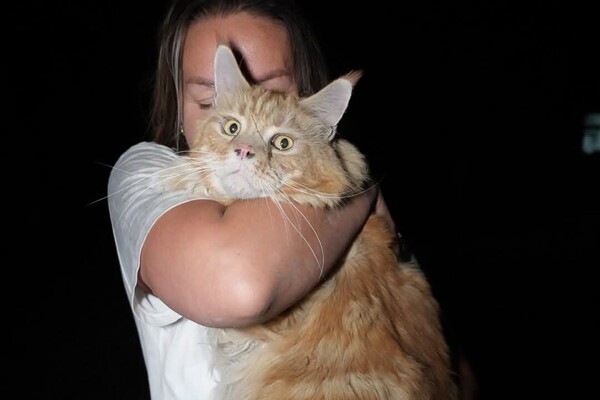 Горить Привоз, є руйнування в історичному середмісті: наслідки нічного удару по Одесі (оновлено) фото 22