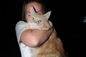 Горить Привоз, є руйнування в історичному середмісті: наслідки нічного удару по Одесі (оновлено) фото 22