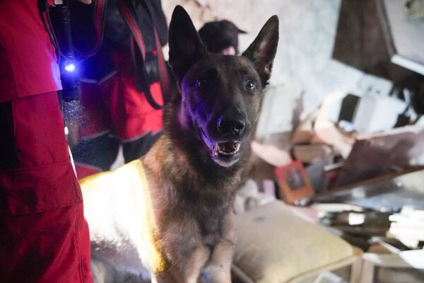 Горить Привоз, є руйнування в історичному середмісті: наслідки нічного удару по Одесі (оновлено) фото 32