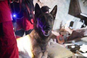 Горить Привоз, є руйнування в історичному середмісті: наслідки нічного удару по Одесі (оновлено) фото 32