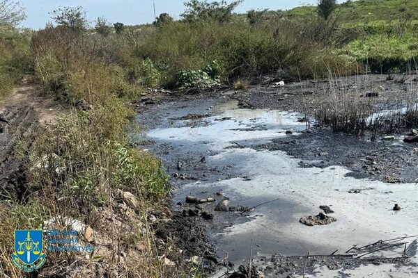 Забруднення земель токсичними відходами: на Одещині повідомили про підозру директору підприємства фото 2