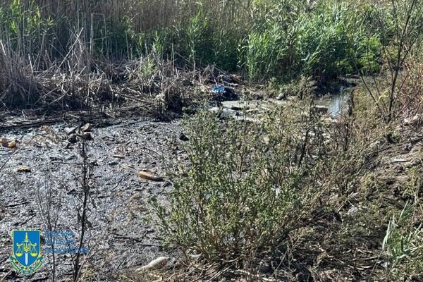 Забруднення земель токсичними відходами: на Одещині повідомили про підозру директору підприємства фото 3