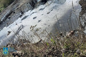 Забруднення земель токсичними відходами: на Одещині повідомили про підозру директору підприємства фото 4