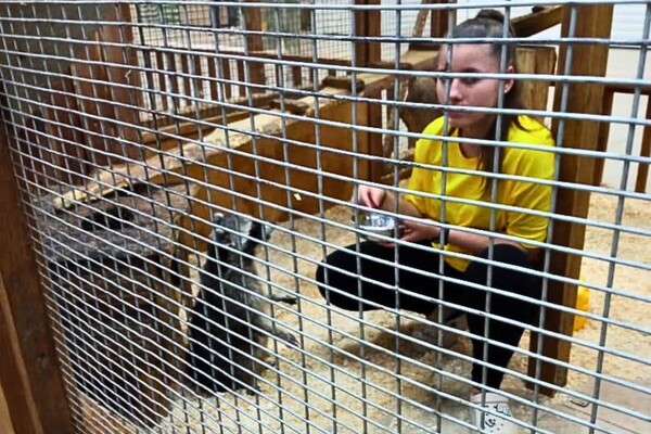 Утримання єнота в контактному зоопарку в Одесі: що кажуть екоінспектори фото 3
