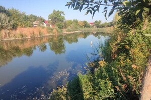 Замор рыбы и смрад в водоеме в Одесской области: что показали анализы фото 2