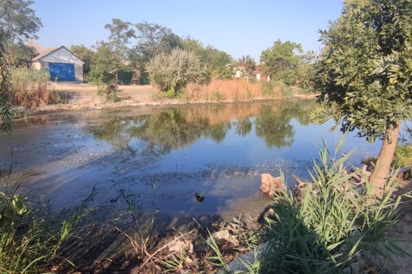 Замор рыбы и смрад в водоеме в Одесской области: что показали анализы фото 3