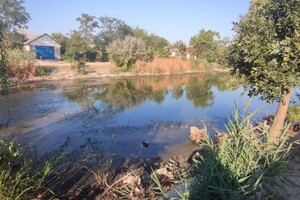 Замор рыбы и смрад в водоеме в Одесской области: что показали анализы фото 3