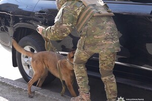 Убийство активиста Демьяна Ганула в Одессе: подозреваемого будут судить фото 3