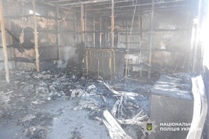 Уничтоженные киоски и дома базы отдыха: в Одесской области задержали поджигателя фото 1