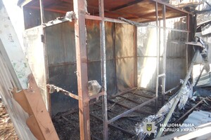Уничтоженные киоски и дома базы отдыха: в Одесской области задержали поджигателя фото 2