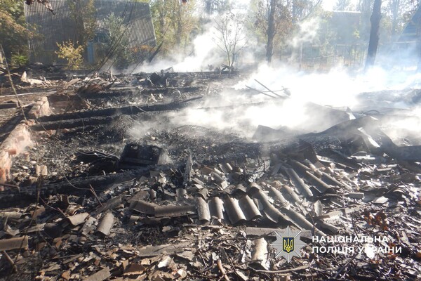 Уничтоженные киоски и дома базы отдыха: в Одесской области задержали поджигателя фото 3