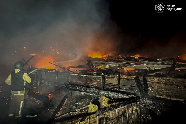 Ночная атака БпЛА на Одесчину: под ударом оказалось фермерское хозяйство (обновлено) фото 3