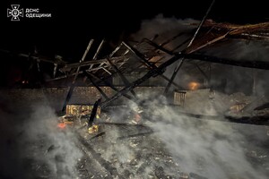 Ночная атака БпЛА на Одесчину: под ударом оказалось фермерское хозяйство (обновлено) фото 9