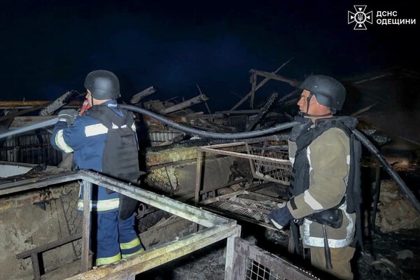 Ночная атака БпЛА на Одесчину: под ударом оказалось фермерское хозяйство (обновлено) фото 10