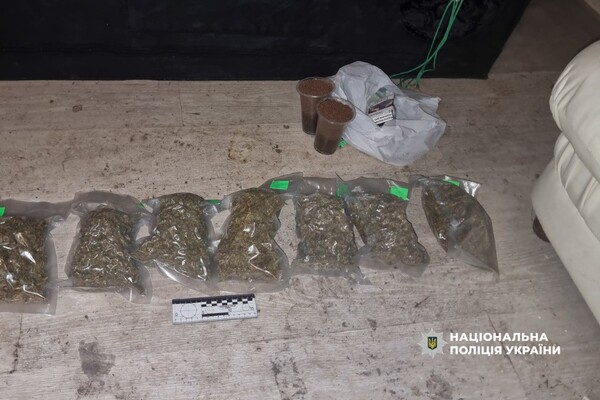 Кокаїн у багажнику та домашня плантація конопель: в Одесі викрили наркоділка фото