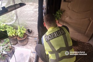 Кокаїн у багажнику та домашня плантація конопель: в Одесі викрили наркоділка фото 3