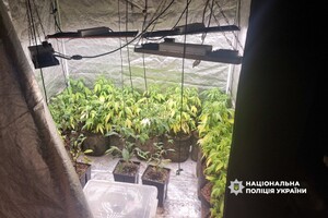 Кокаїн у багажнику та домашня плантація конопель: в Одесі викрили наркоділка фото 5