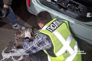 Кокаїн у багажнику та домашня плантація конопель: в Одесі викрили наркоділка фото 6