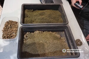 Кокаїн у багажнику та домашня плантація конопель: в Одесі викрили наркоділка фото 7