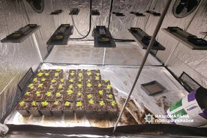 Кокаїн у багажнику та домашня плантація конопель: в Одесі викрили наркоділка фото 8