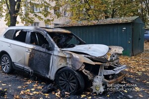 Поджог автомобилей на Черемушках в Одессе: полицейские задержали виновного фото 4