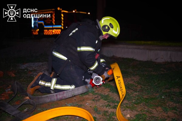 Вечерняя дроновая атака на Одесчину: снова ударили по энергообъектам (обновлено) фото 3