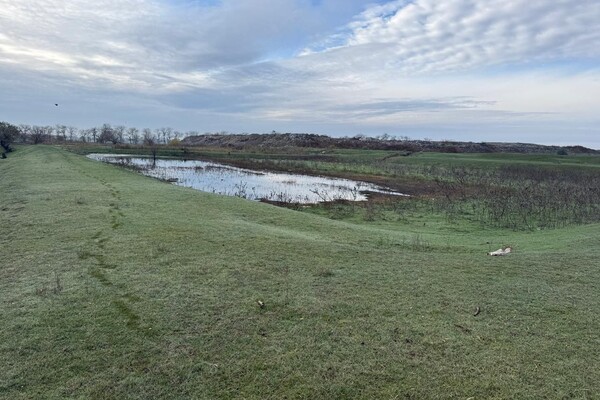 Три гектара смрада: в Одесской области канализационные стоки загрязнили землю фото