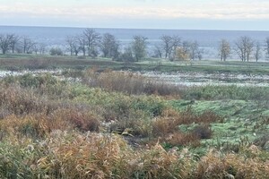 Три гектари смороду: на Одещині каналізаційні стоки забруднили землю фото 2