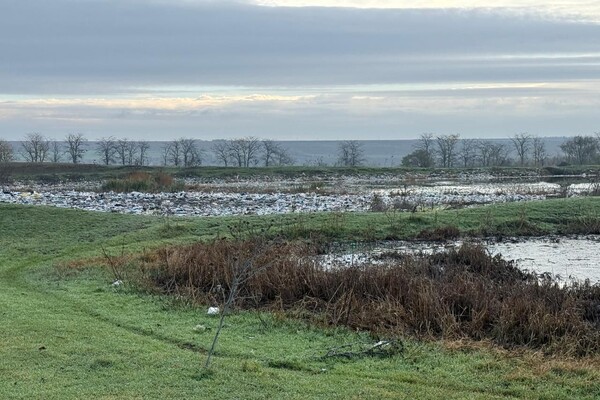 Три гектара смрада: в Одесской области канализационные стоки загрязнили землю фото 3