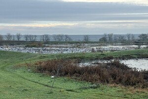 Три гектари смороду: на Одещині каналізаційні стоки забруднили землю фото 3