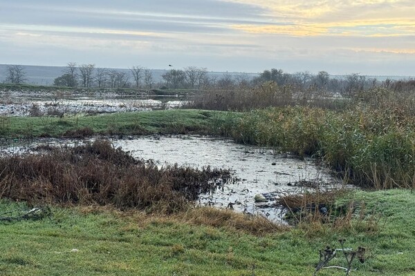 Три гектара смрада: в Одесской области канализационные стоки загрязнили землю фото 5