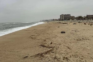 В Одесской области обнаружили загрязнение побережья: где именно и чем фото